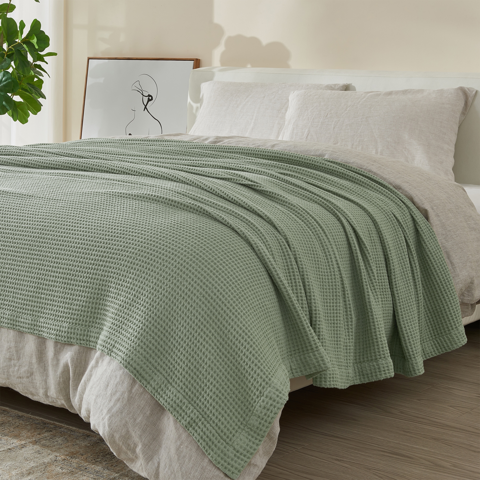 Cotton blankets on sale sale